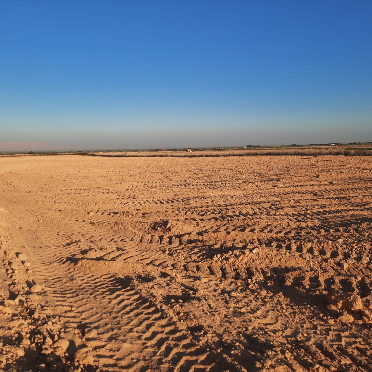 Freshly levelled bare desert ground at the Esna farm